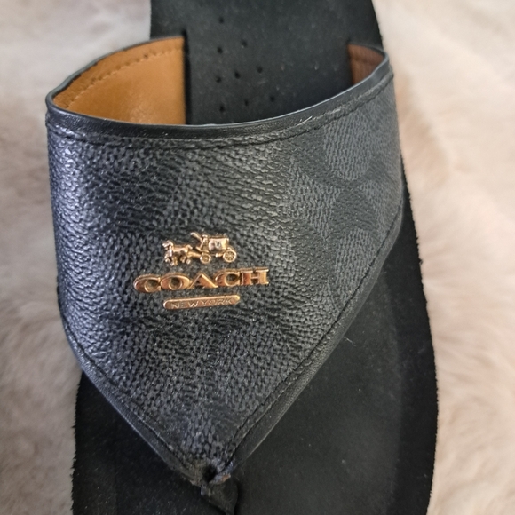 Coach 9.5 - Picture 4 of 5